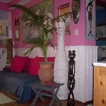 Iris House