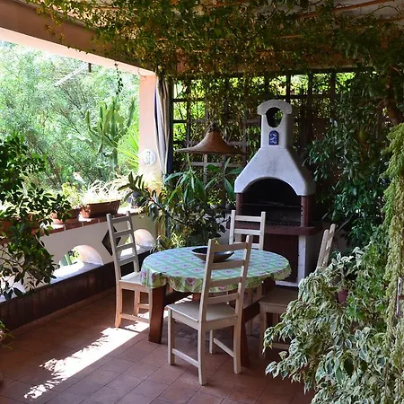 Iris House *