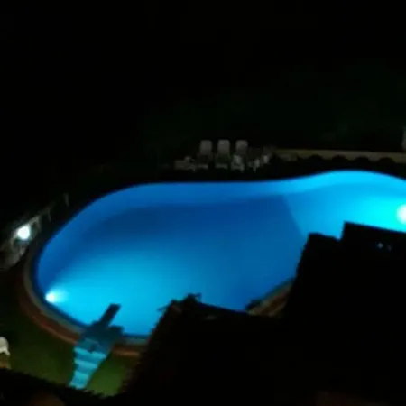Iris House