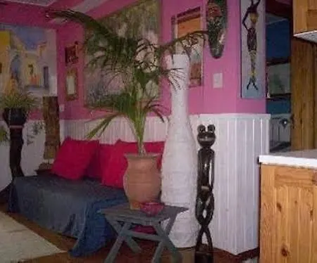 Iris House